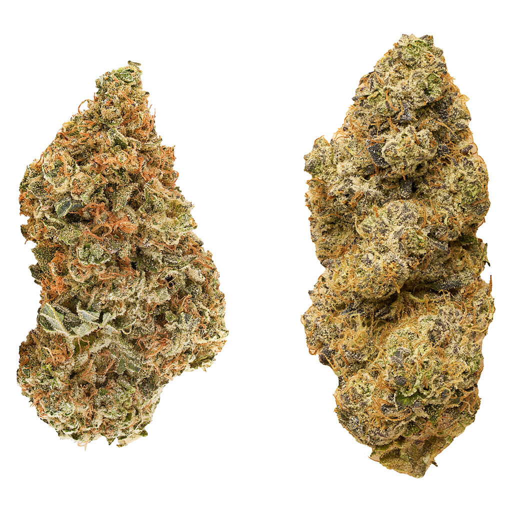 Taster Series Variety Pack