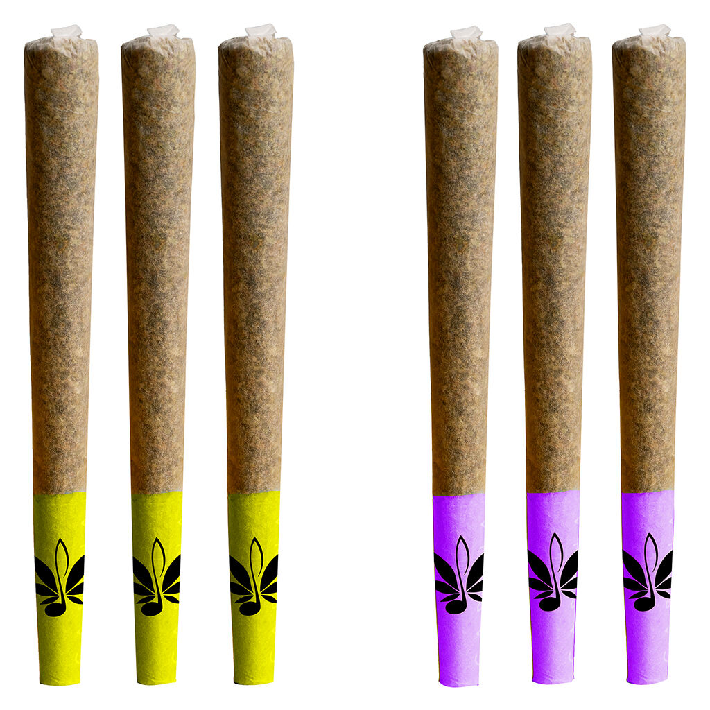 Day & Night Mixed Pack of Js Pre-Roll