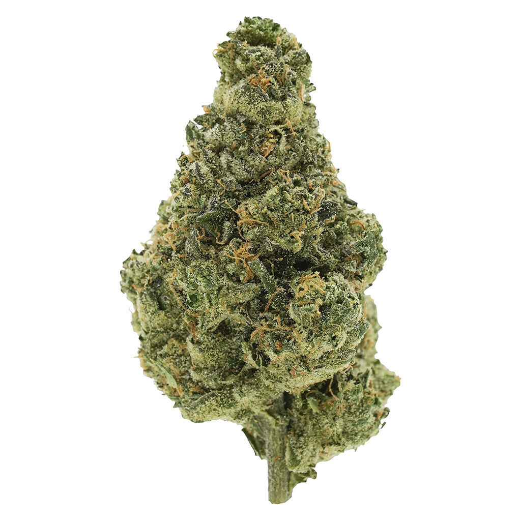 BC Organic Lime Drizzle 2