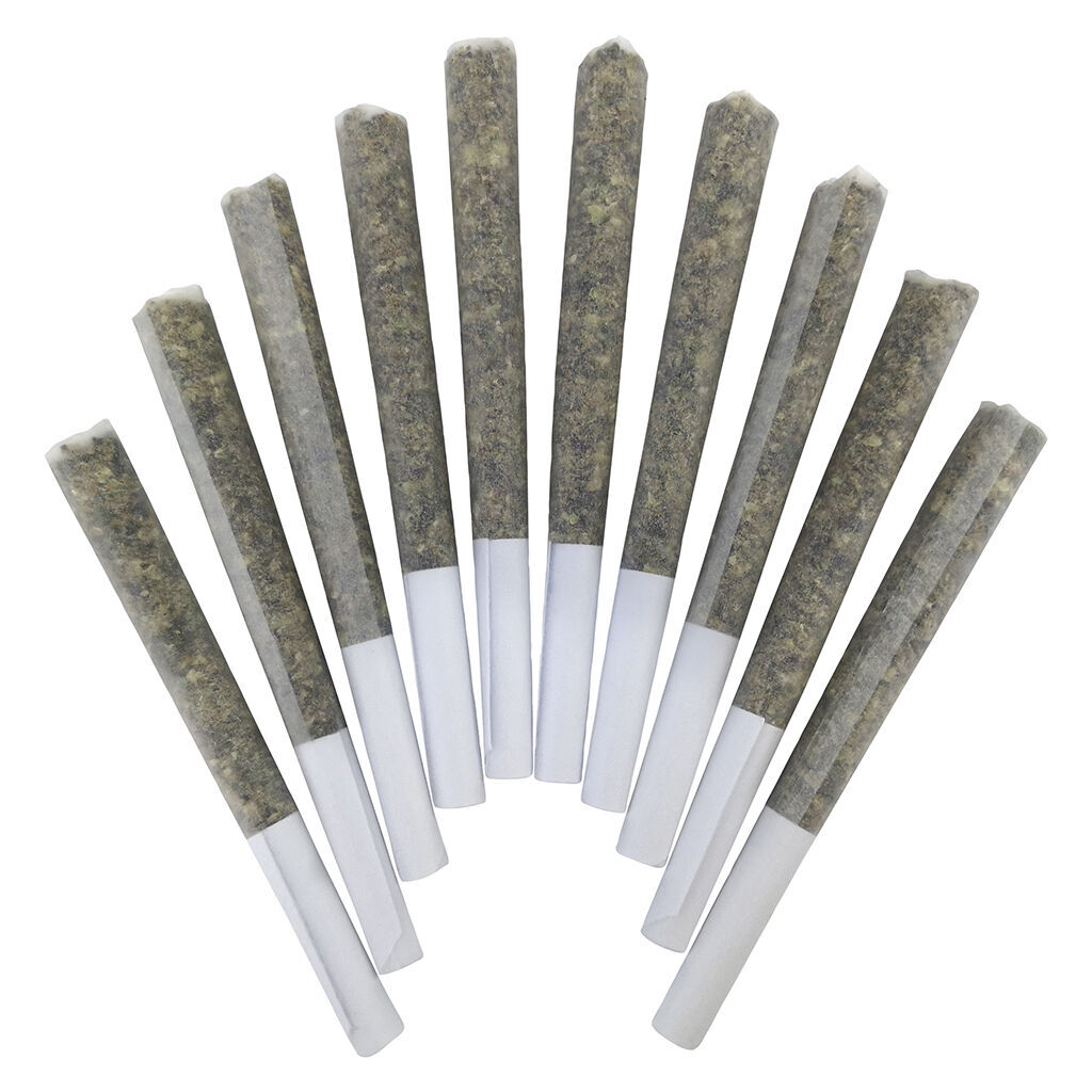 Genghis Chron Pre-Roll