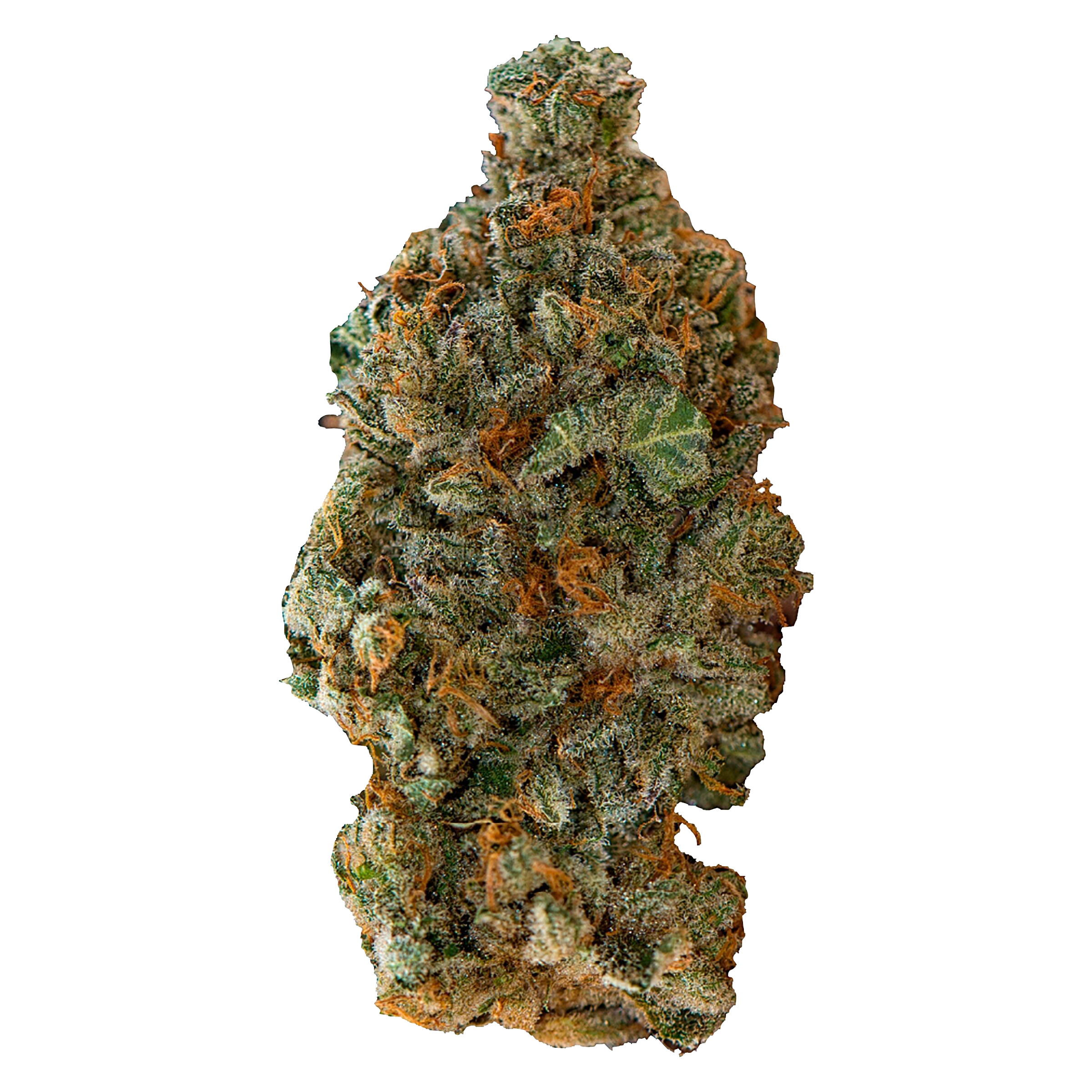 Girl Scout Cookies 2