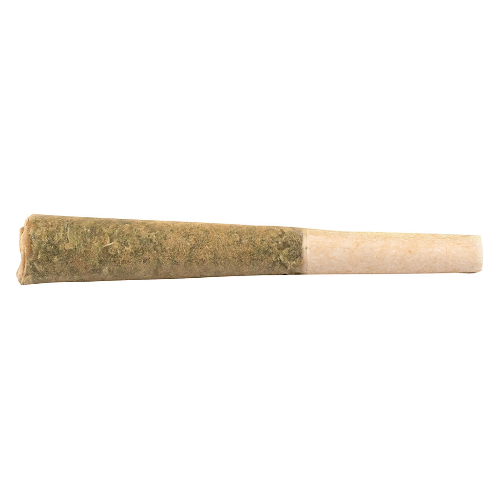 Purple Biscotti Pre-roll