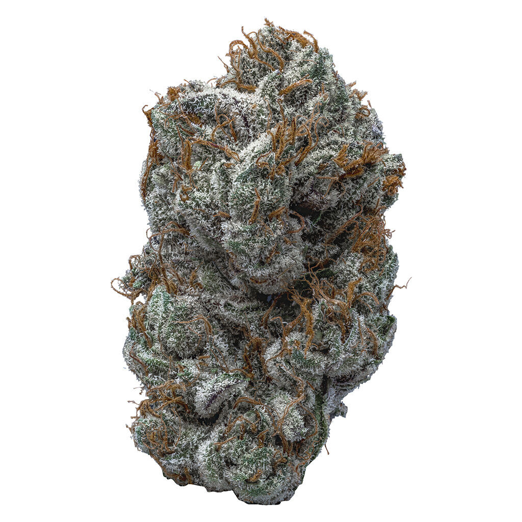 Panama 2