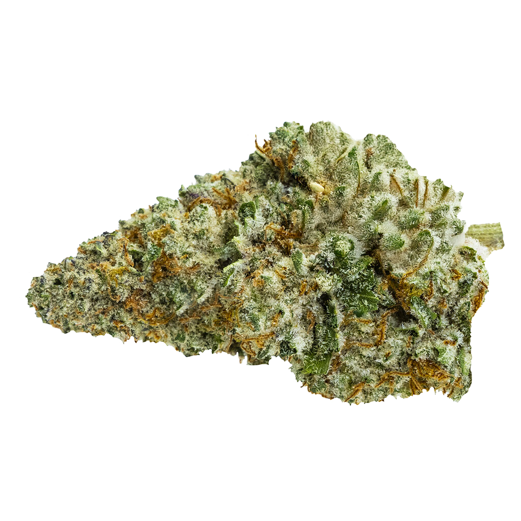 Queen Green