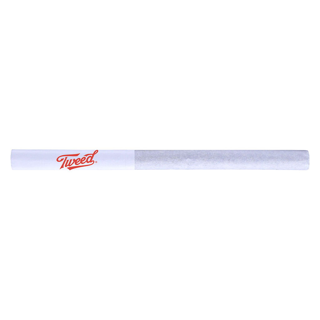 Quickies GMO Jet Fuel Pre-Roll