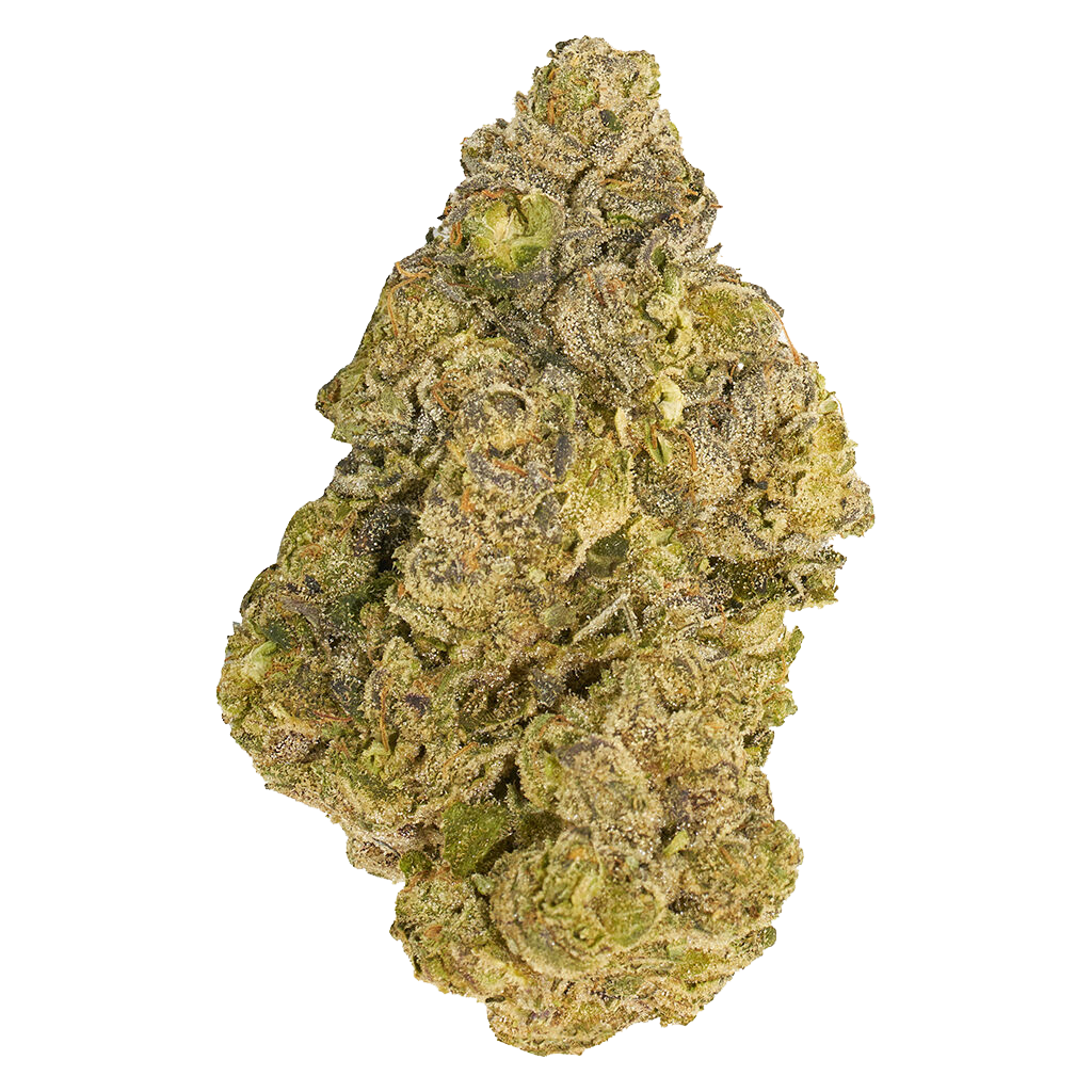 Cherry Ztripez