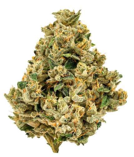 Strawberry Grail