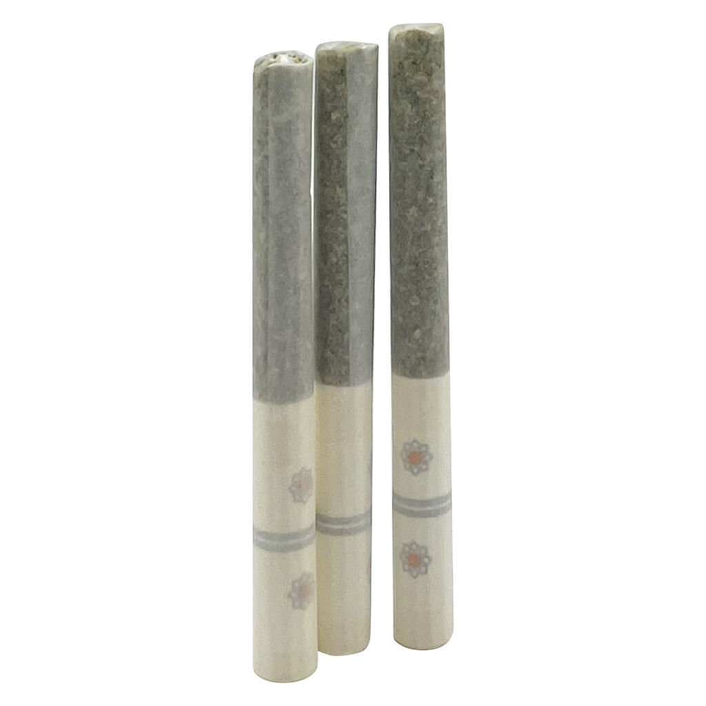 Blueberry Blast Pre-roll