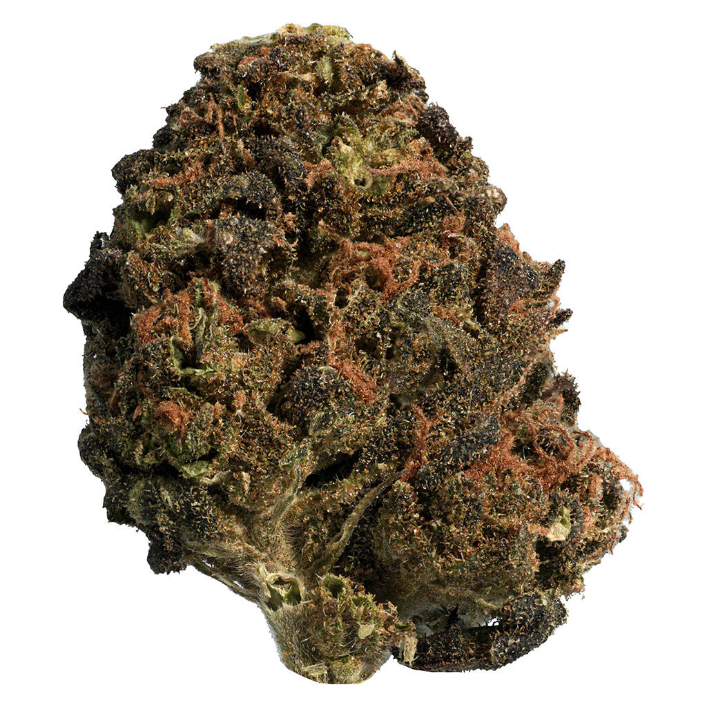 BC Organic Sungrown Mango Sapphire