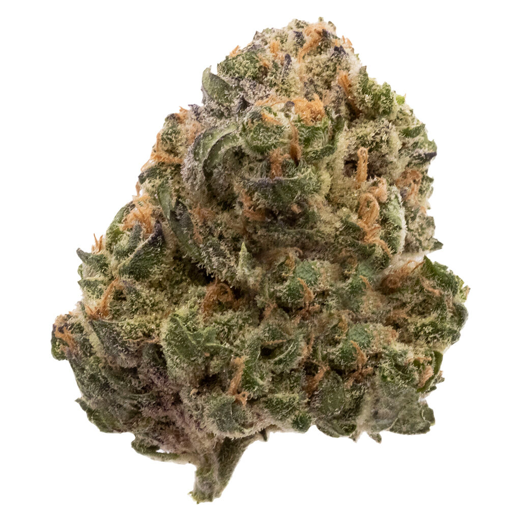 Garlic Truffle 3