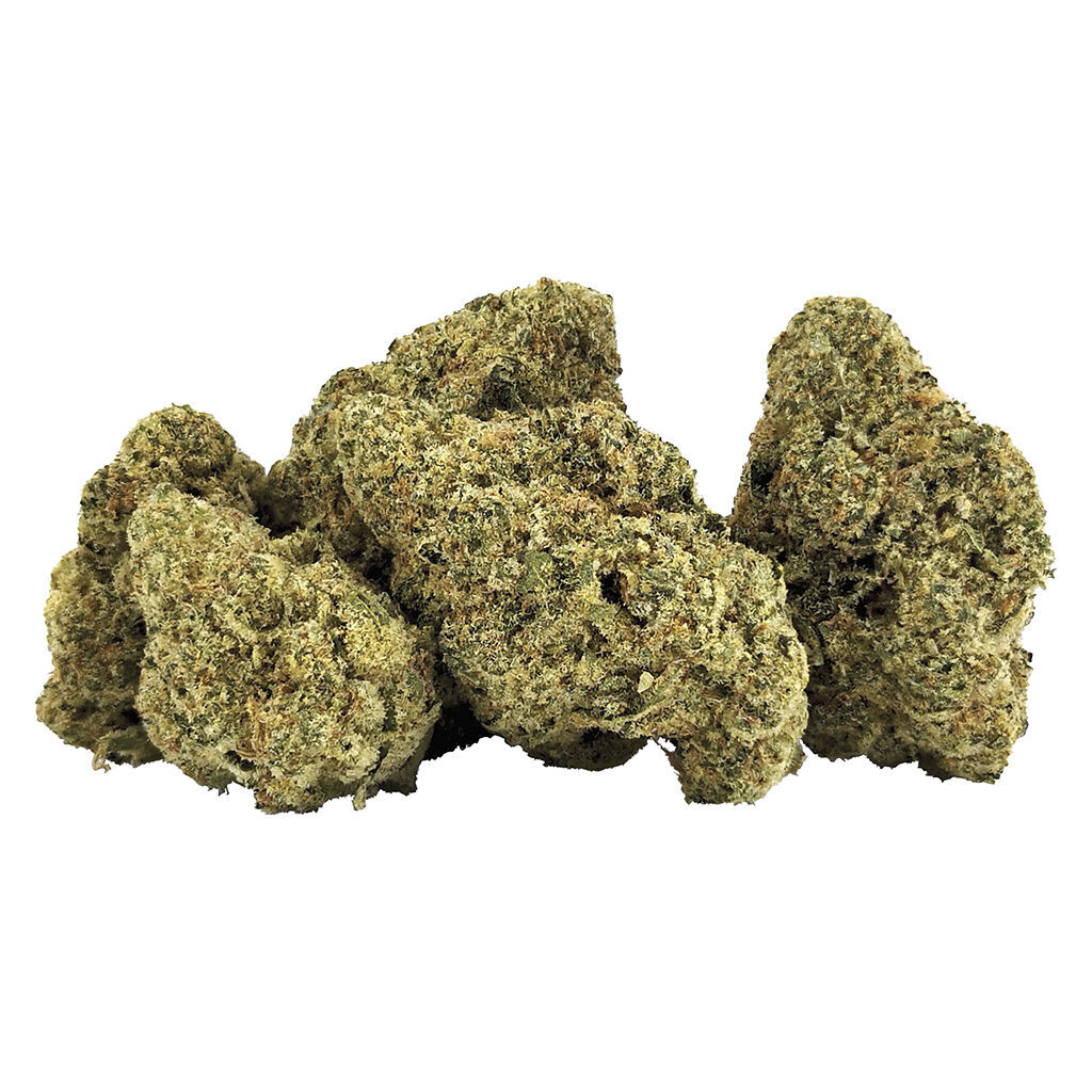 G13 Bx1