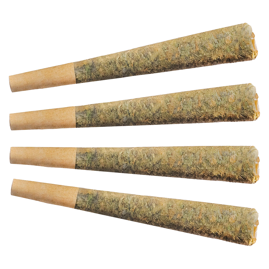 Night Rider Indica Pre-Roll 3