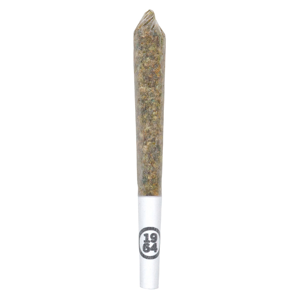 Comatose Pre-Roll 3