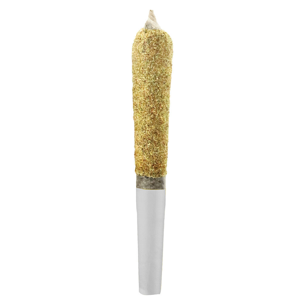 Dusties - Rocket Fuel Kief Coated Infused Pre-Roll 2
