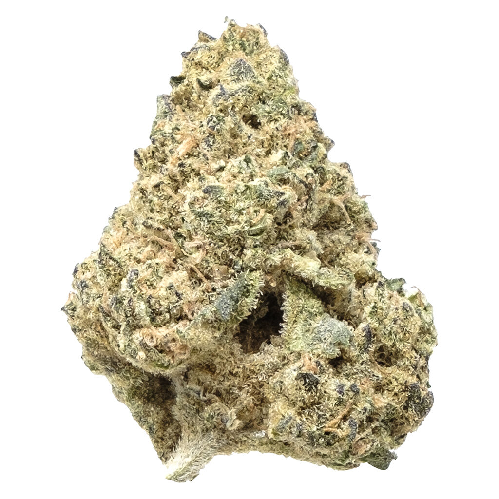 Sativa 2