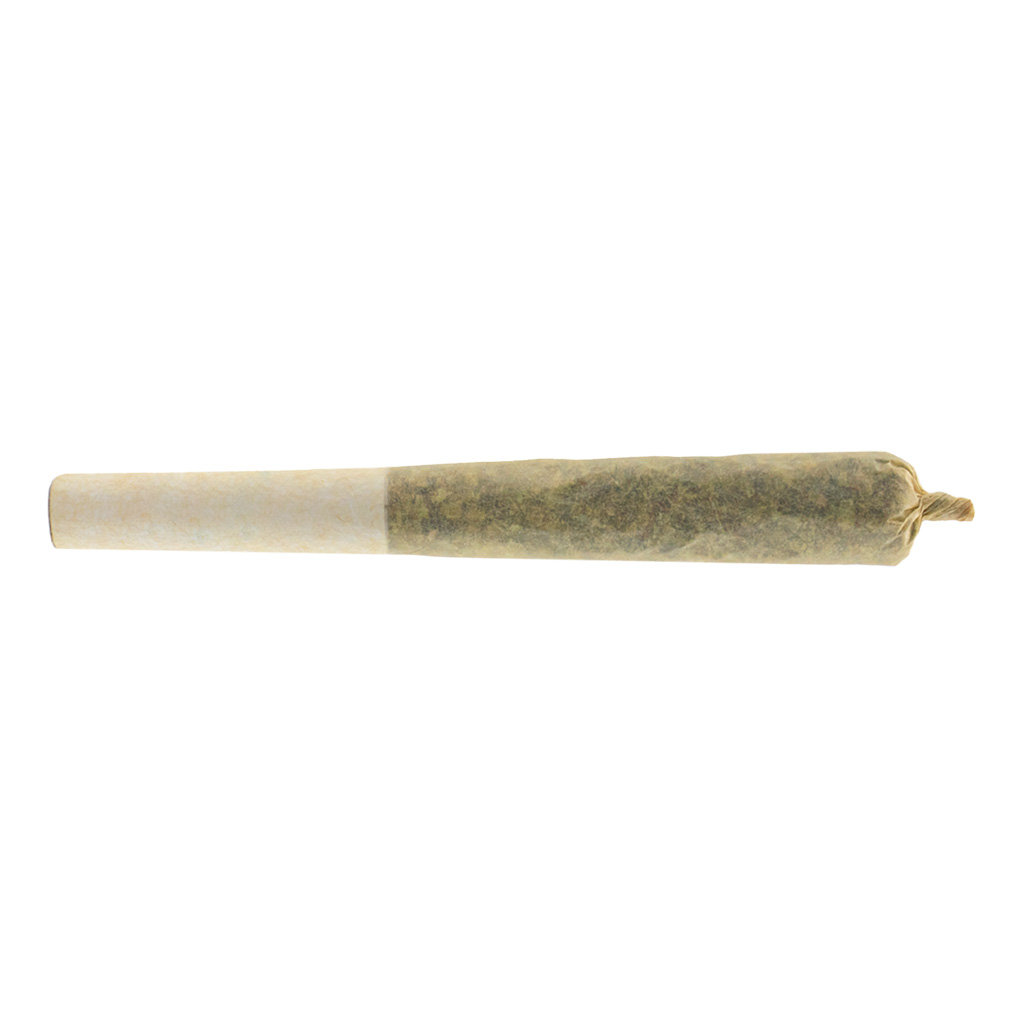 Afghan Gold Hash Infused Pre-Roll