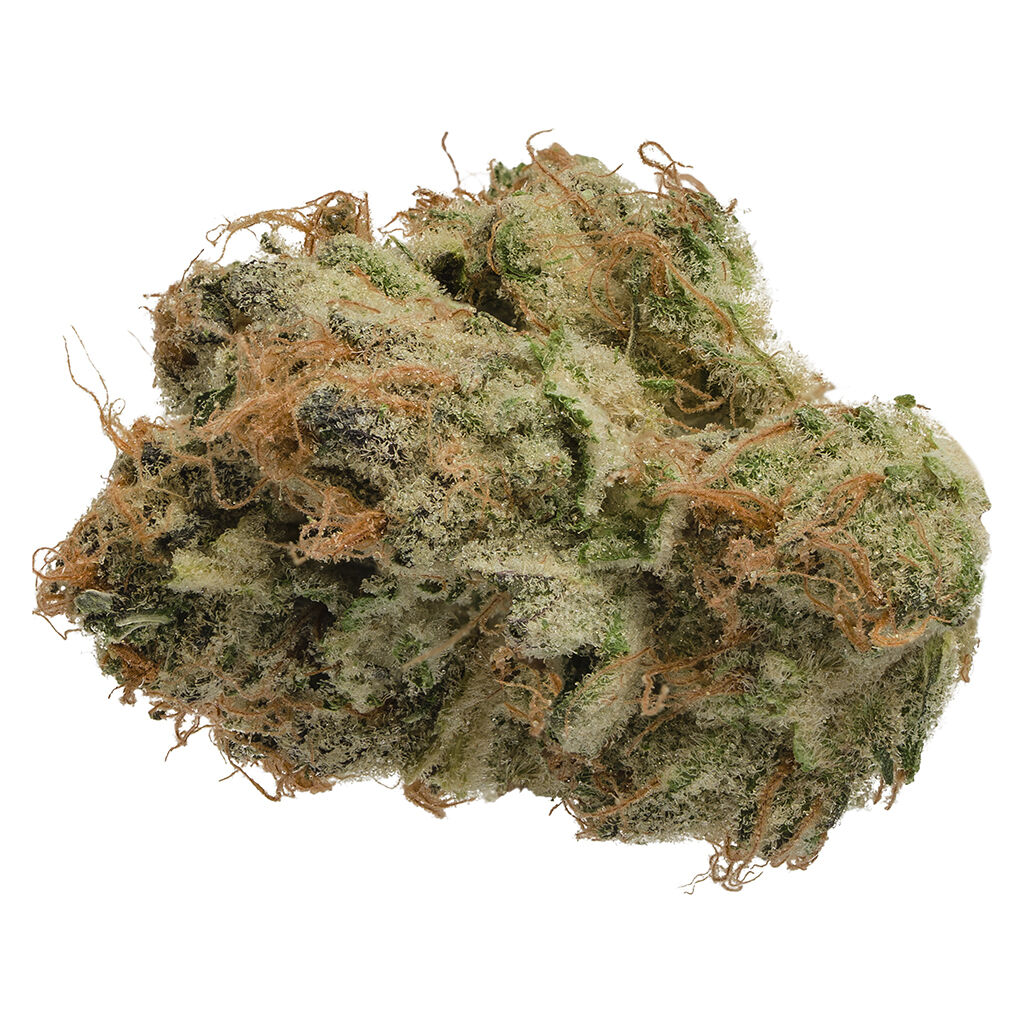Tropicanna 2