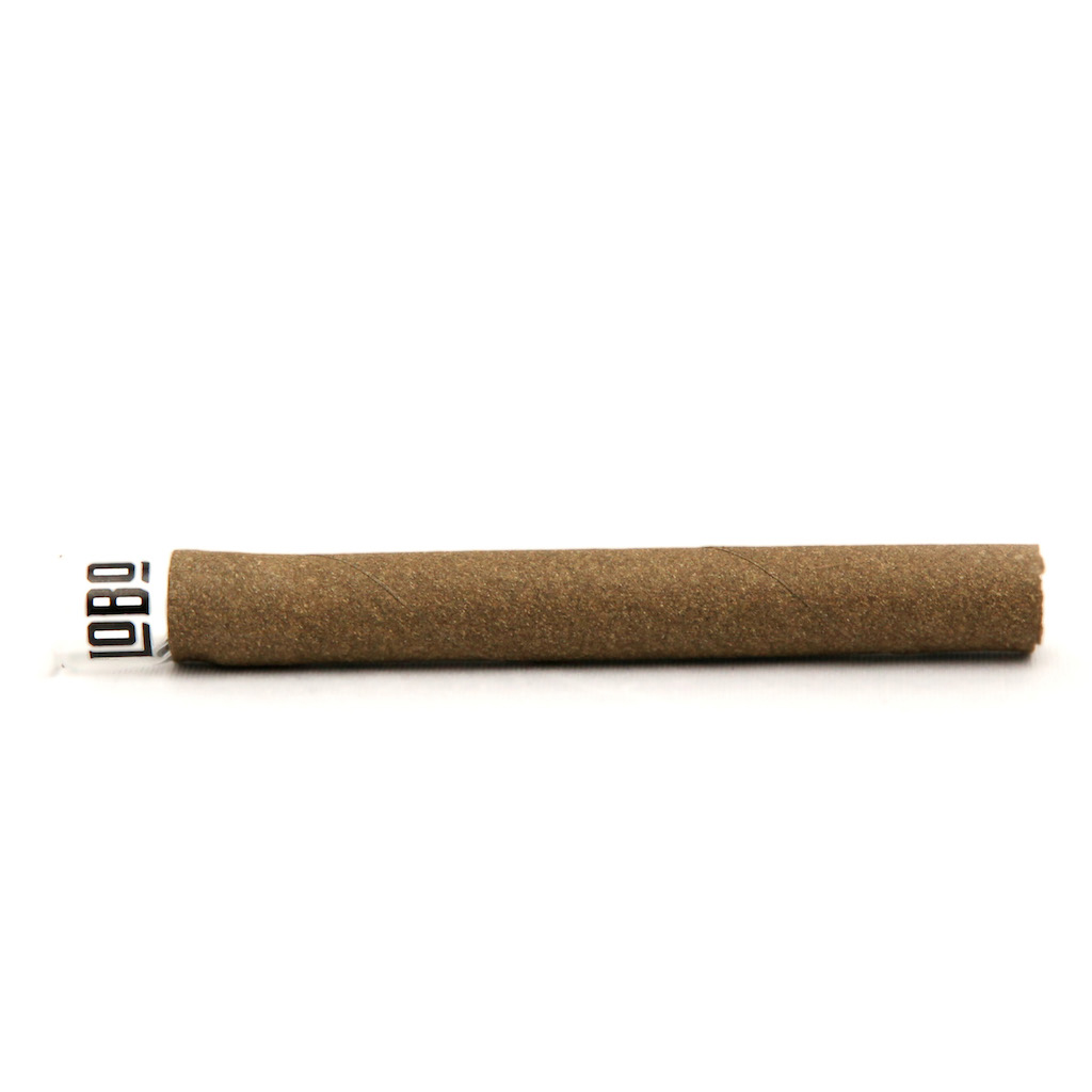 Presidente Blunt