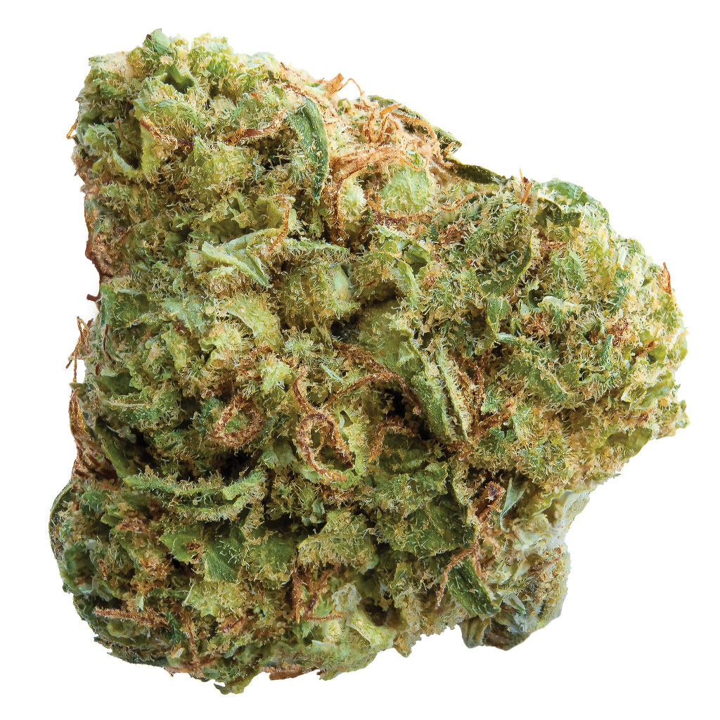 Pineapple Paradise