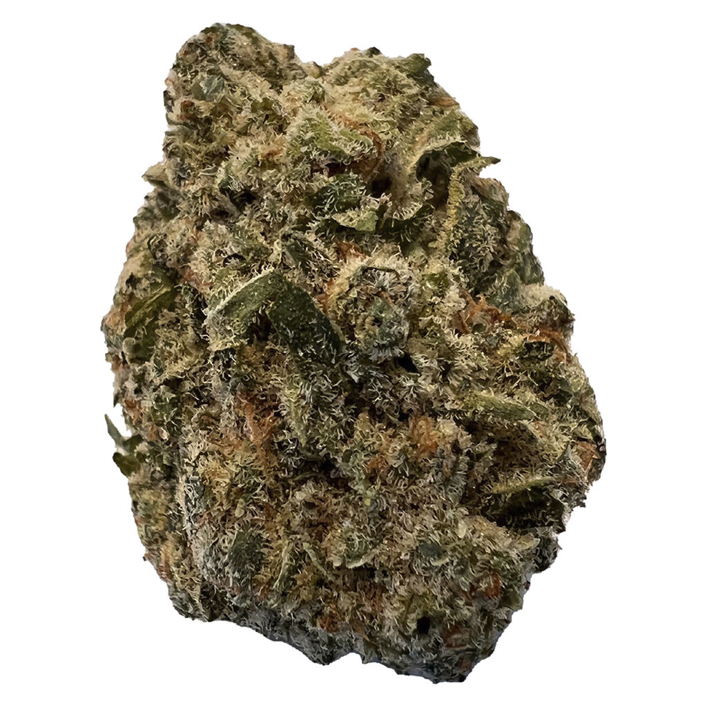 BC Purple Kush 3