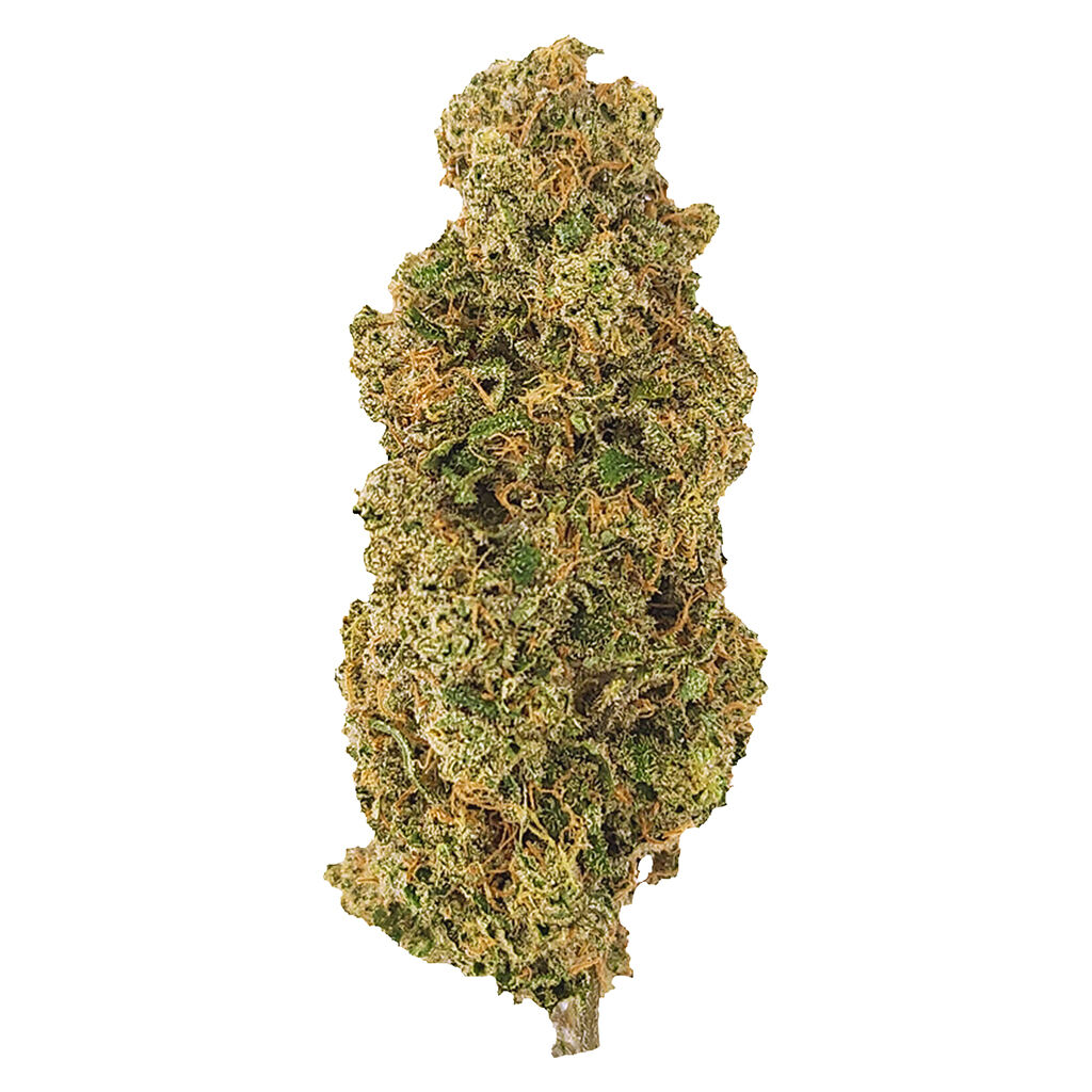 Roadkill Skunk