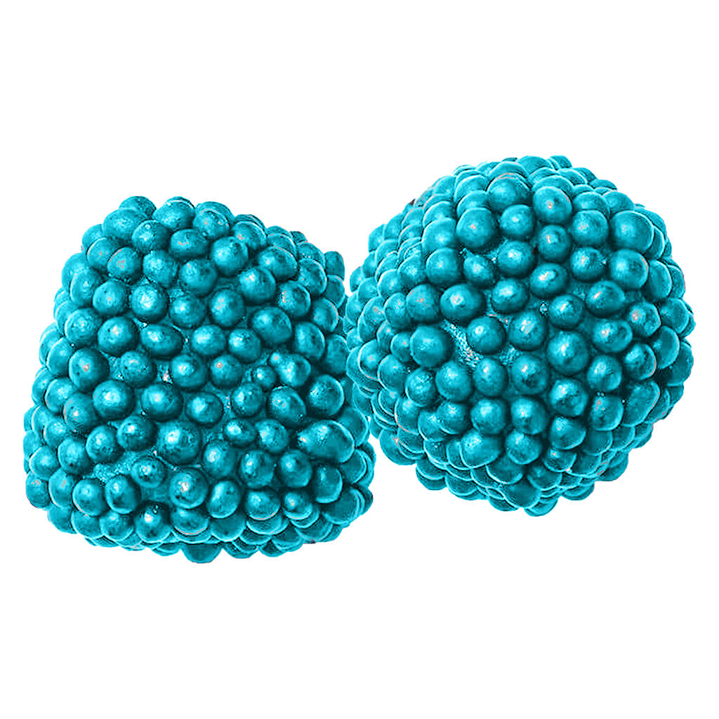 Electric Blue Razz Berries