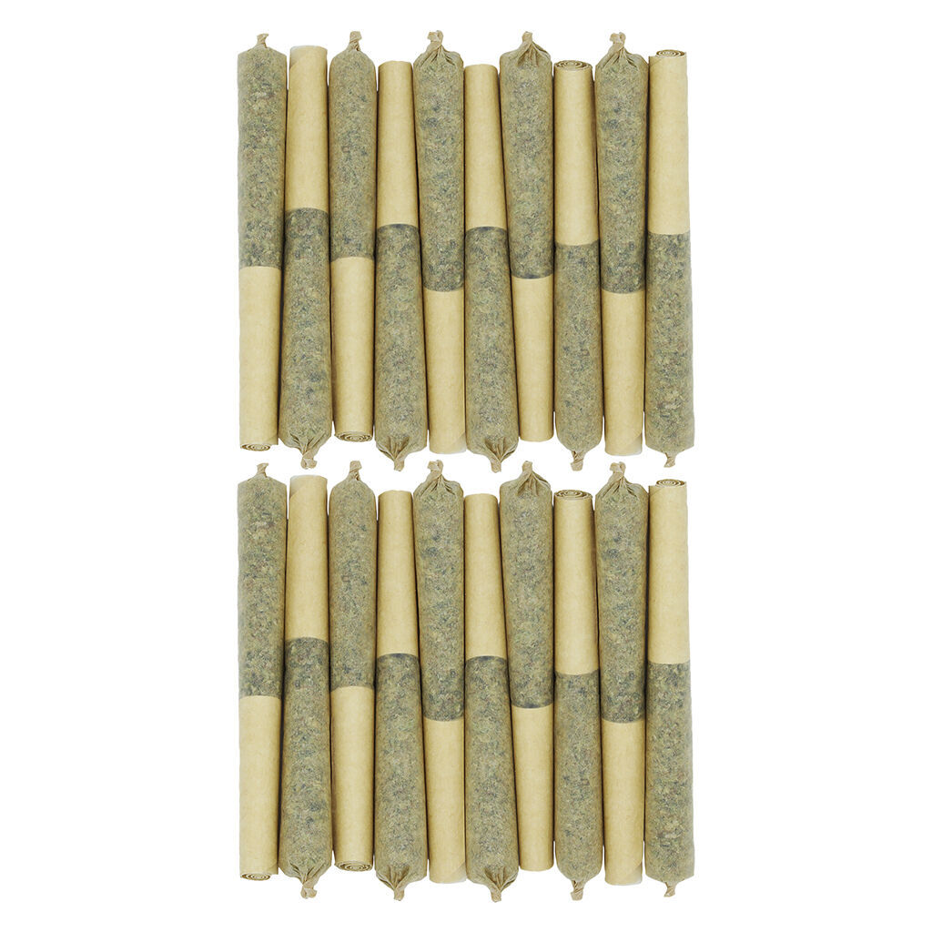 Star Chase Pre-Roll 2