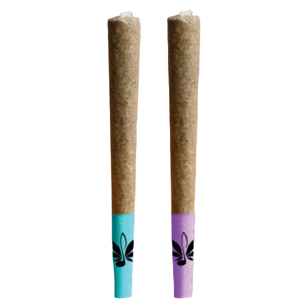 Shuffle 2-pack Of J's