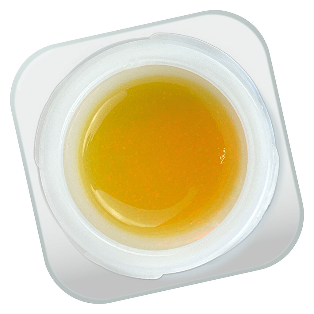 Winterberry Spice Sugar Wax