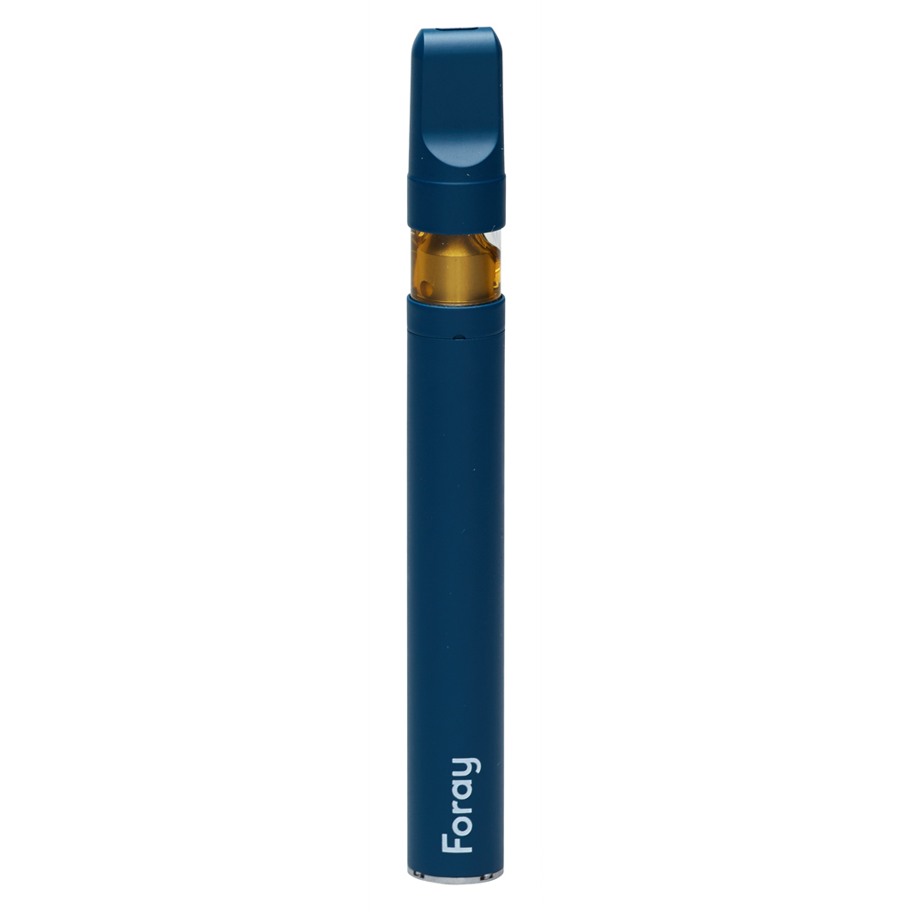 Blueberry GLTO CBN All in One Disposable Pen