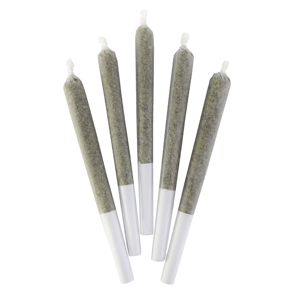 Big Smooth Pre-Roll