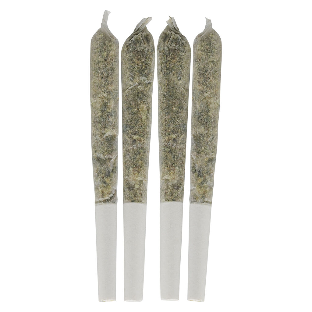 Tropical Pocket Puffs - Pre Rolls