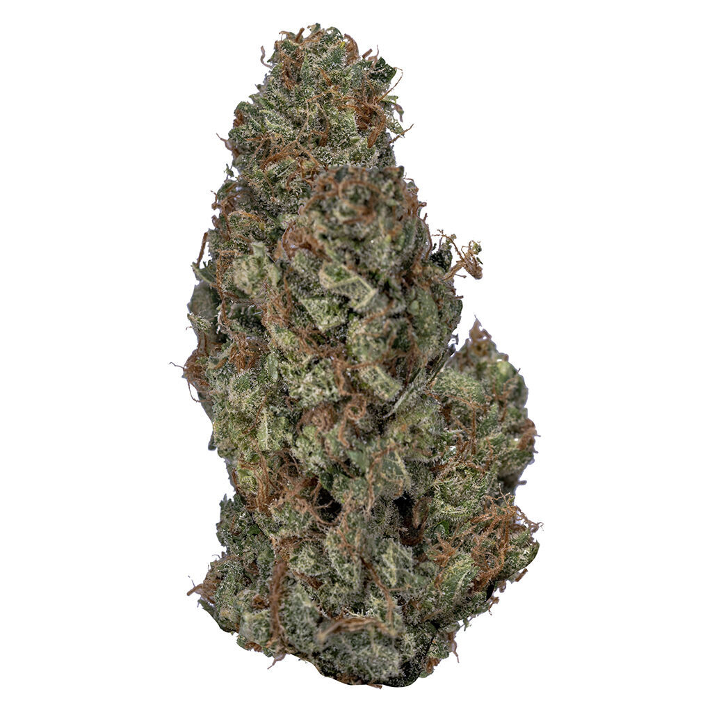 Sativa