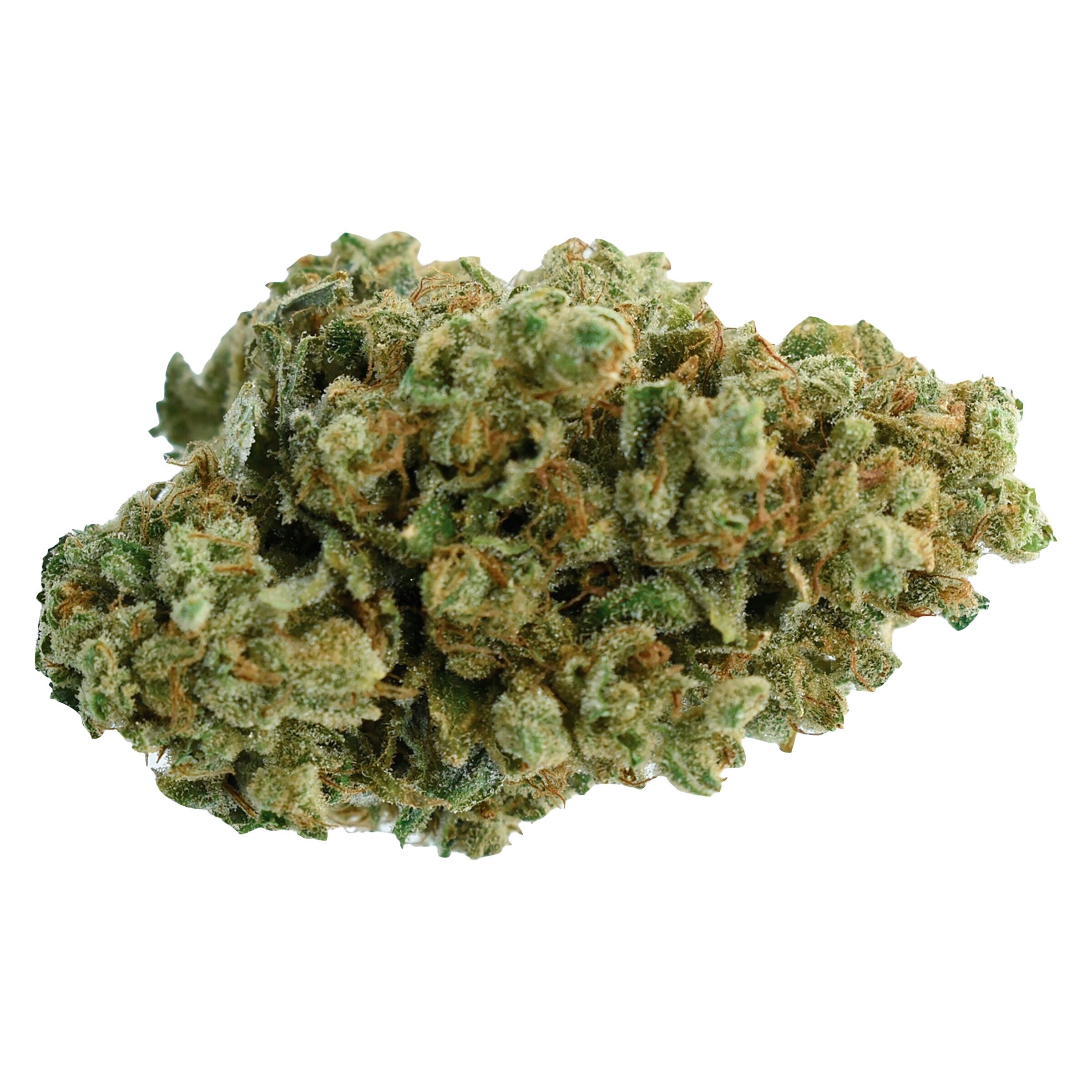 Pedro's Sweet Sativa 3