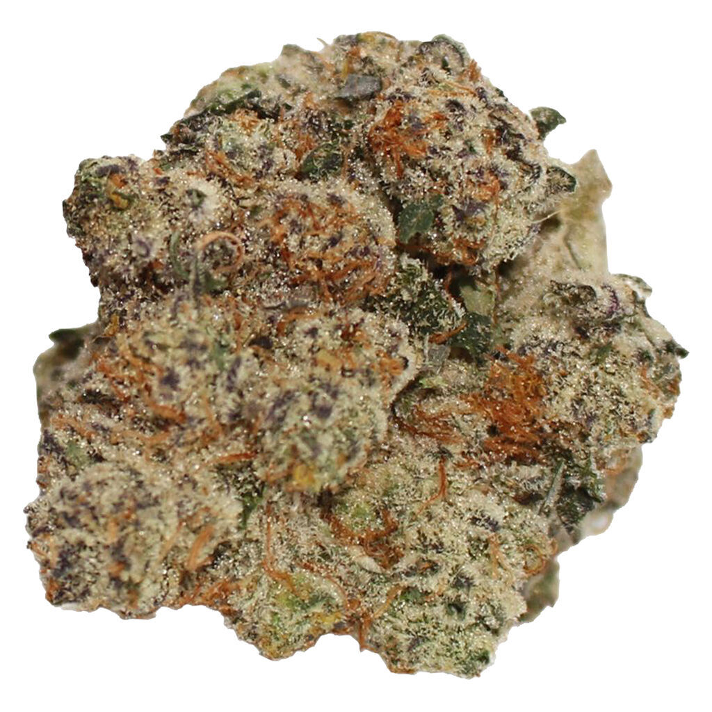 Frost Monkey