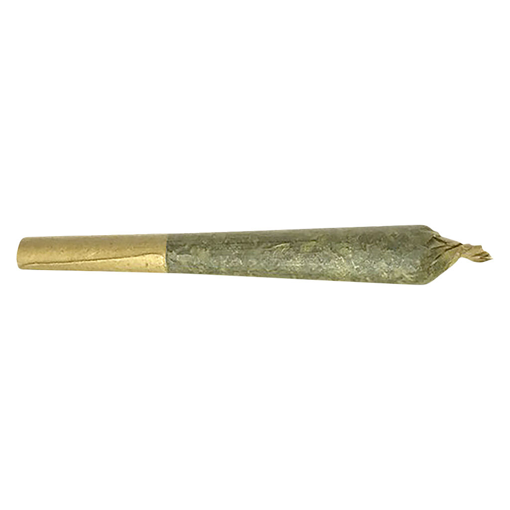 Jack Herer Pre-Roll