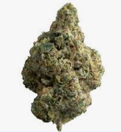 Reserve 25 Plus