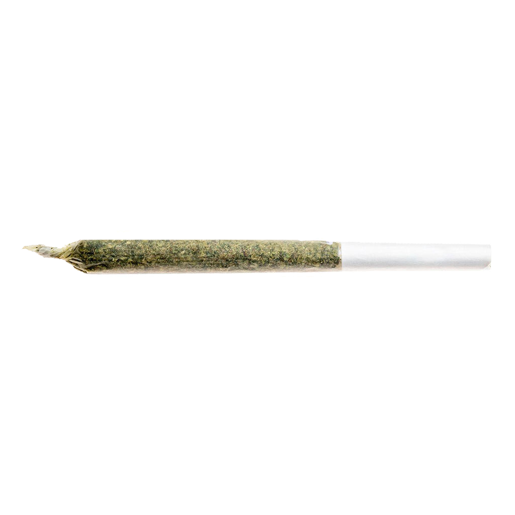 Jean Guy Pre-Roll