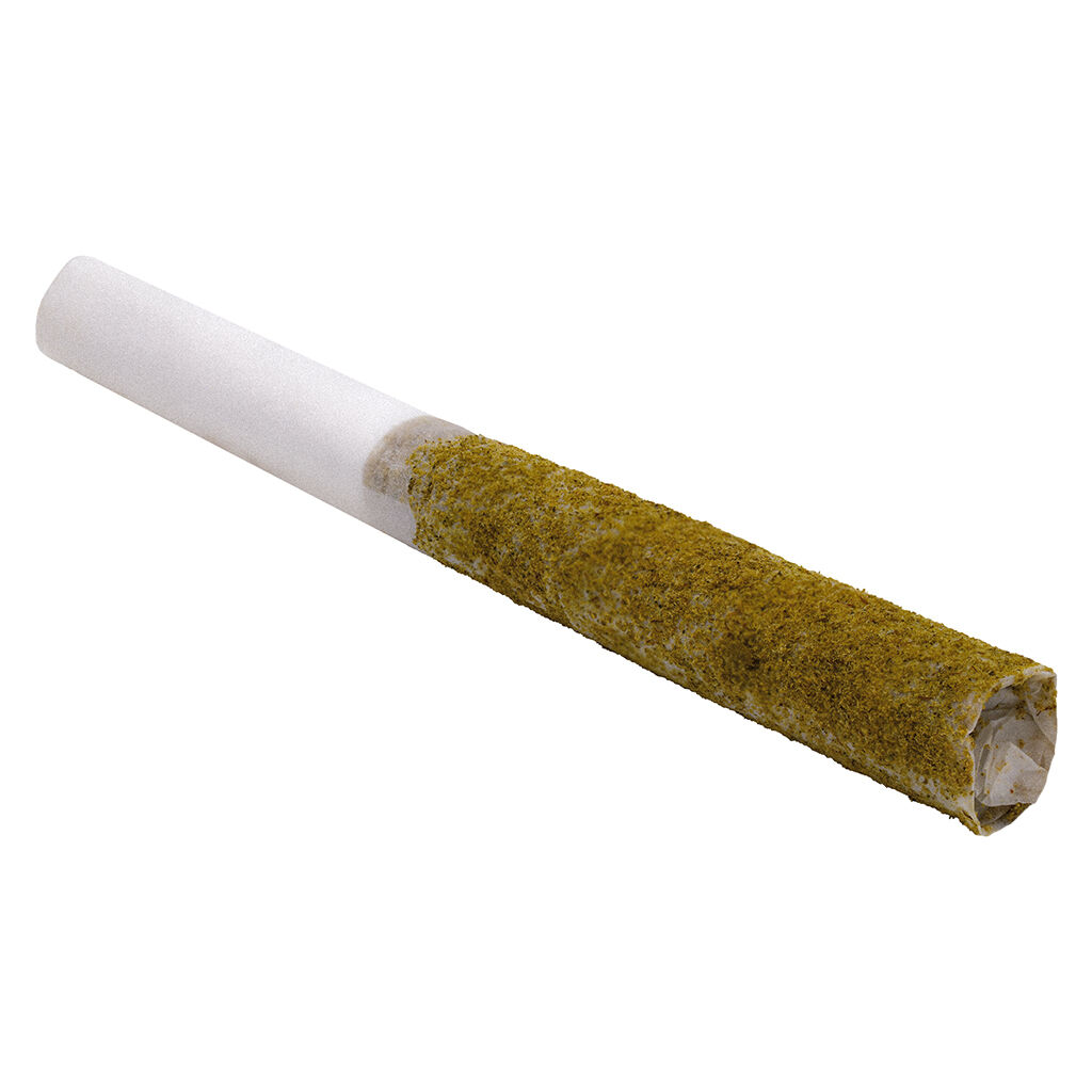 Afghan Black Hash Infused Pre-Roll 2
